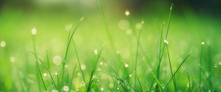 Câu chuyện thương hiệu