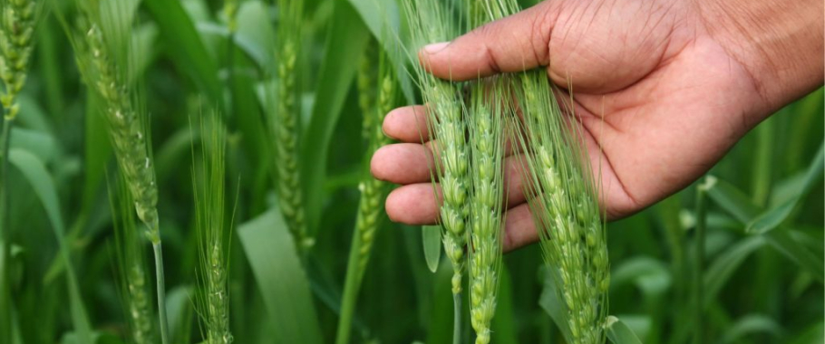 Giá trị cốt lõi