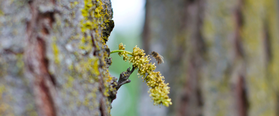 Phát triển bền vững